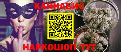 стаф Сланцы